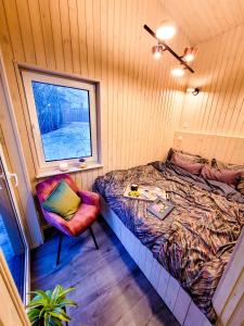 萨拉茨格里瓦Holiday cabin BUUDA的一间卧室设有一张床、一个窗口和一把椅子