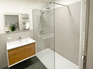 施塔特韦伦Haus Wehlen的带淋浴和盥洗盆的浴室