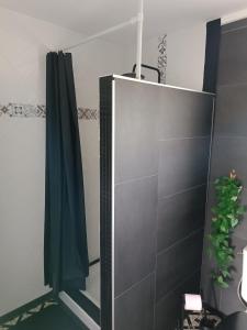 TonneinsL'Eden的浴室内的镜子和绿色的淋浴帘