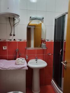 巴尼亚卢卡Lavander的一间带水槽和镜子的浴室