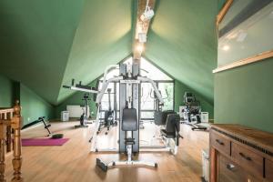 福米加尔Snö Villa de Sallent 3的绿色室内的健身房,配有健身器材