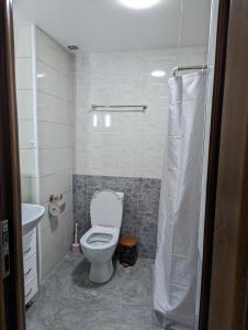 博尔若米Gari's apartment next to Borjomi Central Park的一间带卫生间和水槽的小浴室