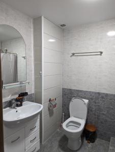 博尔若米Gari's apartment next to Borjomi Central Park的一间带卫生间和水槽的浴室
