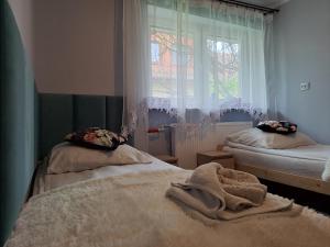 新松奇Pokoje Gościnne u Grażynki的一间卧室设有两张床和窗户。