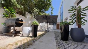 拉巴特Cozy Appartement in a Villa close to Mahaj Riad Rabat的人行道上一群盆栽植物和一把伞