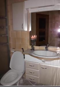 皮耶克赛迈基Saunallinen yksiö的一间带卫生间和水槽的浴室