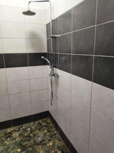 BourdaLE CHALET DOMAINE DU ROCHER的带淋浴的浴室(带瓷砖墙)