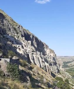 瓦尔齐亚Сhachkari的山边有树木的岩石山
