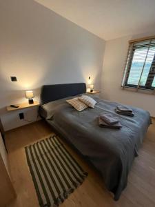 莱斯科Apartament w Dolinie Sanu 2的一间卧室配有一张大床,配有两盏灯和地毯
