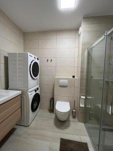 莱斯科Apartament w Dolinie Sanu 2的一间带卫生间和洗衣机的浴室