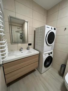 莱斯科Apartament w Dolinie Sanu 2的一间带洗衣机和水槽的浴室