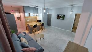 巴亚马雷Matei Apartments的一间带蓝色沙发的客厅和一间厨房