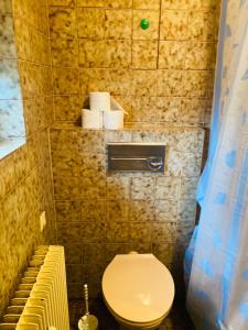 Apartment Menesa的一间带卫生间和一些毛巾的小浴室