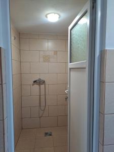 伊兹沃鲁穆列什鲁伊Cabanele Areama Neagra的带淋浴的浴室和玻璃门