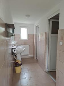 伊兹沃鲁穆列什鲁伊Cabanele Areama Neagra的浴室设有白色水槽和粉红色瓷砖
