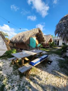 Mano JuanSaona lodge的海滩上的野餐桌和小屋