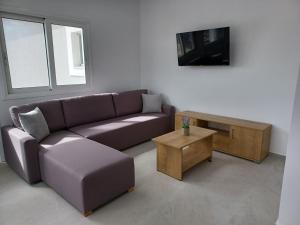 凯法洛斯Comfort Apartments的带沙发和咖啡桌的客厅