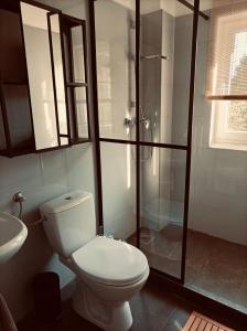 大毛罗什Hillside Nagymaros的浴室配有卫生间、淋浴和盥洗盆。