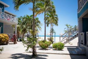 珀拉什奇亚Brisa Oceano Resort的棕榈树和海滩度假村