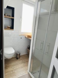 里尔Le Jean Bart - Lille的一间带卫生间和玻璃淋浴间的浴室