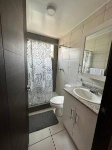 特古西加尔巴Monoambiente Apart-Studio的一间带水槽、卫生间和镜子的浴室