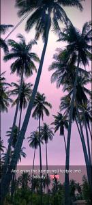 马兰Se SE d'Homestay Kelulut Marang的一群棕榈树,在紫色的天空中