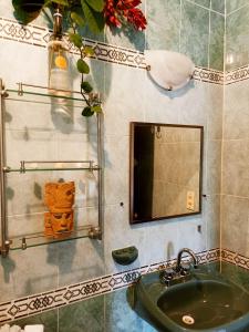 巴利亚多利德Casa De Los Pájaros - B&B的一间带水槽和镜子的浴室