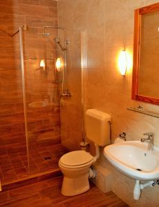 久洛Fodor Hotel的浴室配有卫生间、淋浴和盥洗盆。
