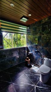 马迪凯里Coorg Bliss Estate Stay的一间带卫生间和玻璃墙的浴室