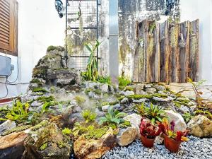 马六甲19th Century Boutique Hotel的一个带瀑布、岩石和植物的花园