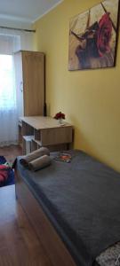苏瓦乌基HOSTEL Róża的卧室配有一张床和一张桌子