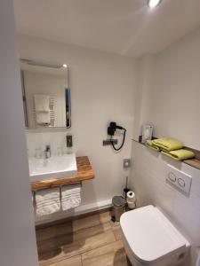 哈嫩克利博克斯维斯瓦尔德豪斯酒店的浴室配有白色卫生间和盥洗盆。