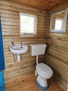 兰格班Aintree Lodge - Yoga Den的一间带卫生间和水槽的浴室