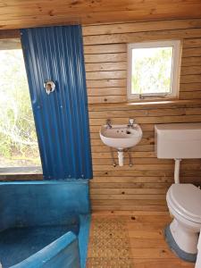 兰格班Aintree Lodge - Yoga Den的一间带水槽和卫生间的浴室