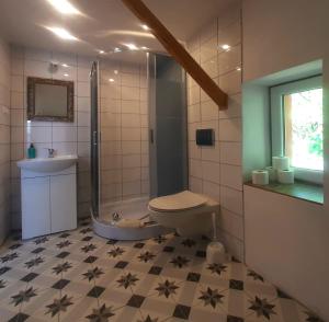 可罗日采Nasza Wioska的带淋浴、卫生间和盥洗盆的浴室