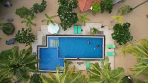 卡尔皮蒂耶Horizon KiteSurfing Beach Resort的享有棕榈树游泳池的顶部景致