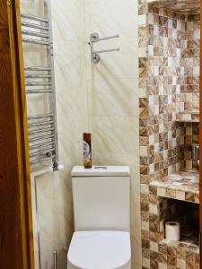 泰拉维Guest House Kartuli Suli的一间带卫生间和淋浴的浴室