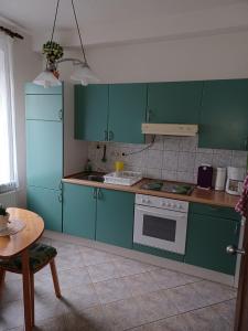 梅森Ferienwohnung Viola的厨房配有绿色橱柜、炉灶和桌子。