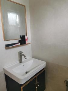 怡保Lanai Meranti的浴室设有白色水槽和镜子