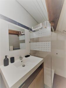 安锡Chalet charm in the heart of the old town - 40m2的浴室设有白色水槽和镜子