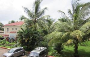 坎多林Apartment Du-2 Candolim的两辆汽车停在棕榈树房子前面
