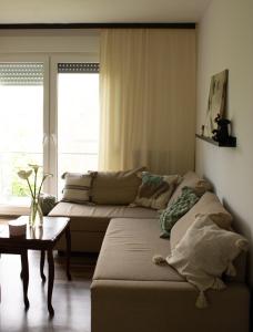 KikindaMileva apartman的客厅配有沙发和桌子