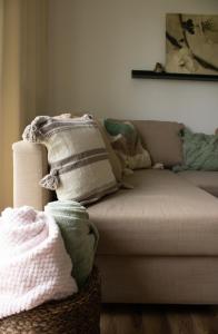 KikindaMileva apartman的一间配备有枕头和篮子的沙发客房