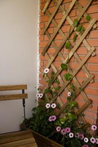 KikindaMileva apartman的砖墙上用粉红色花的围栏