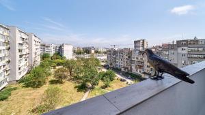 瓦尔纳Cozy Apartment with Balcony on the Black Sea- part of the family 'Vicki Apart的鸟在屋顶上的雕像