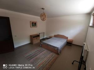 克卢日-纳波卡Cluj City Marasti Apartament 1的一间卧室配有一张床、一张桌子和一张地毯。