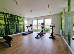 辛安诺泽蒂Gea Eco Apartament 206的健身房设有跑步机,健身房提供健身自行车