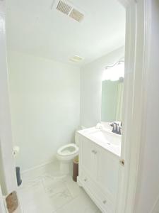 华盛顿Lovely Remodeled 2bdrm Basement Home的白色的浴室设有水槽和卫生间。