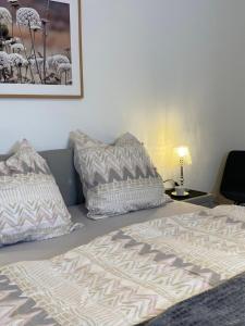 兰河畔马尔堡Apartment Lahnblick的一间卧室配有一张带两个枕头的床
