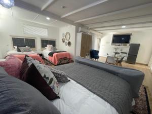 布隆方丹INBLOEM的一间卧室配有两张床和电视。